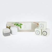 Earthy Shower Steamer, Refreshing Gift Box for Men and Women, Set of 5 Shower Steamers